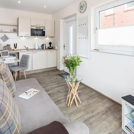 Vissers Seehstern 诺德奈